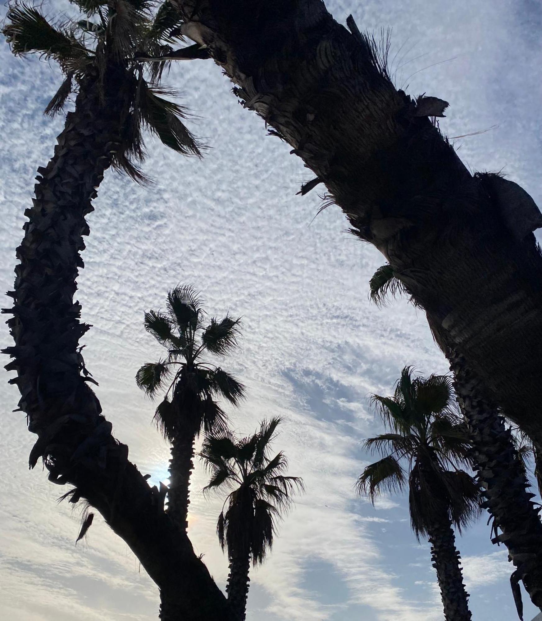 Chez Virginie : Appartement Lumineux Au Calme. Frejus Bagian luar foto